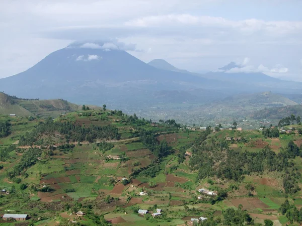 Virunga-gebirge in uganda — Stockfoto