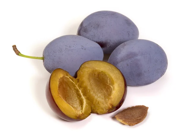 Group of Plums — Stock Photo, Image