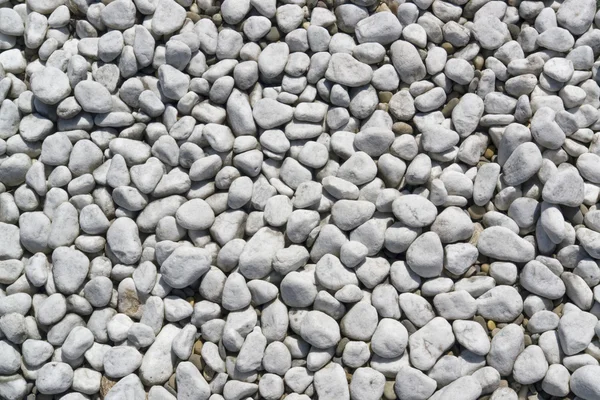 Small pebbles background — Stock Photo, Image