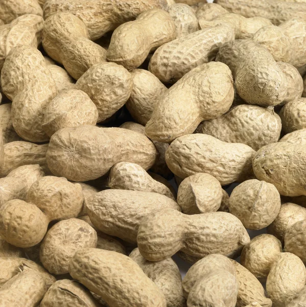 Неочищенный арахис — стоковое фото