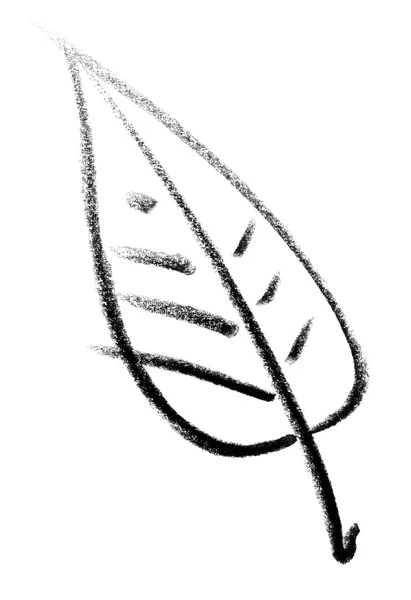 Leaf sketch — Stock Photo, Image