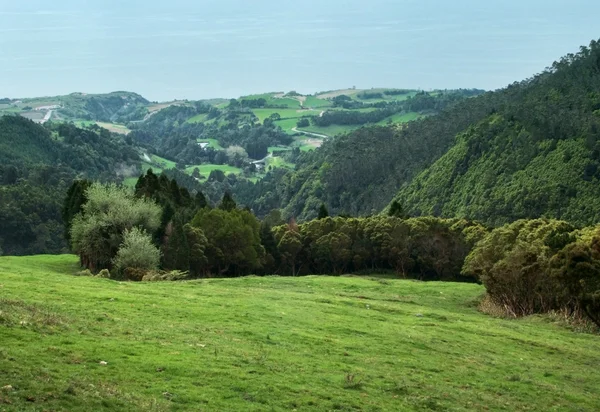 Paysages côtiers panoramiques aux Açores — Photo