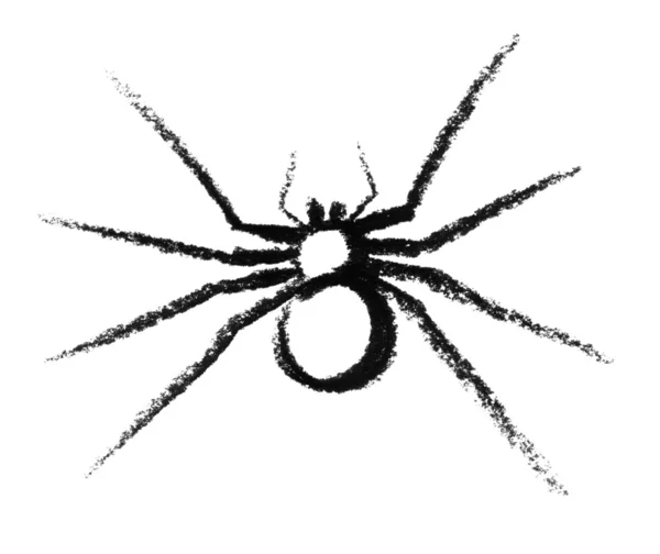Načrtnuté pavouk — Stock fotografie
