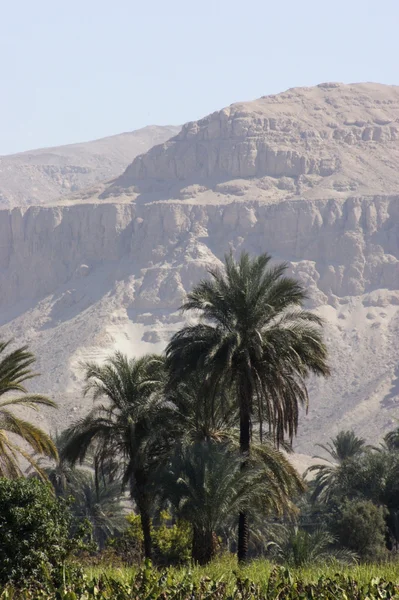 Entre Asuán y Luxor — Foto de Stock