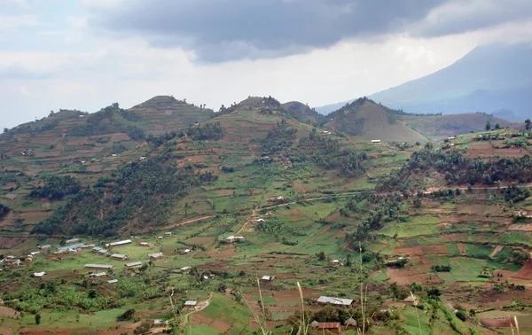 Clouded Virunga Mountains scenery — Stock Photo, Image