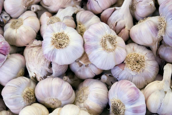 stock image Full frame garlic background