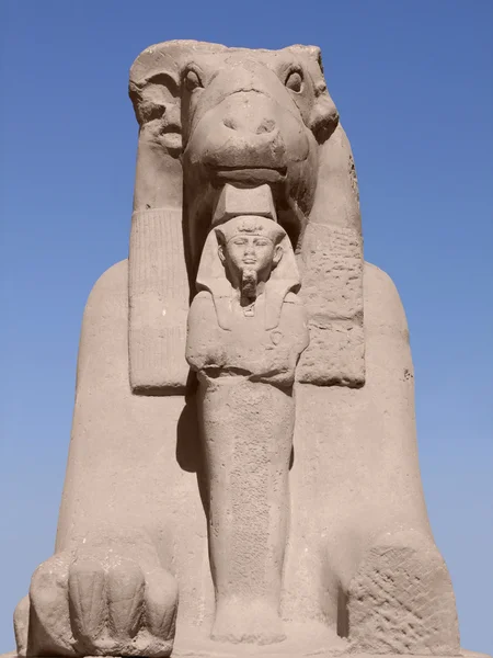 Starověké Sfinga v slunné prostředí — Stock fotografie