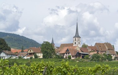 Mittelbergheim in Alsace clipart