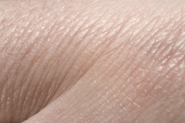 Human skin detail clipart