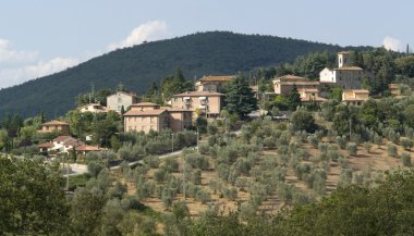 Chianti in Tuscany clipart