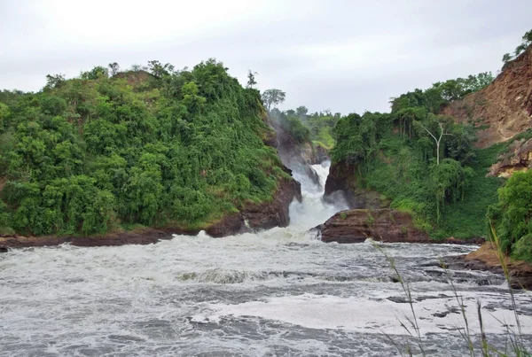 Whitewater at the Murchison Falls — Stock Photo, Image