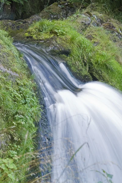 Dettaglio cascate Triberg — Foto Stock