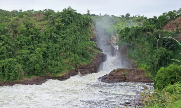 Murchison Falls in Africa — Stock Photo, Image