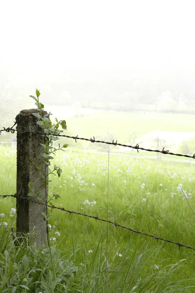 stock image Rural fence detail