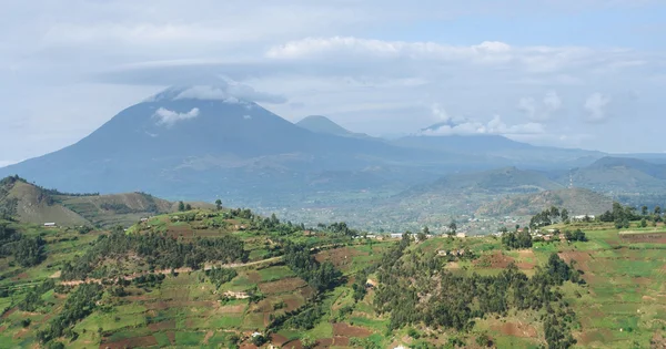 Widok z góry Virunga — Zdjęcie stockowe
