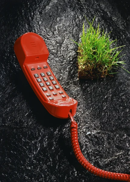 Czerwony telefon i trawa sode — Zdjęcie stockowe