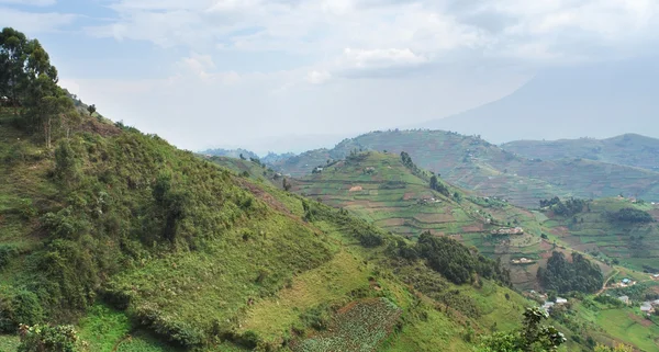 Virunga Mountains aerial view — Stock Photo, Image