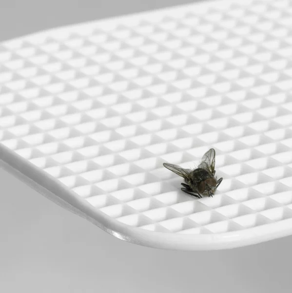 Fly flap detail — Stock Photo, Image