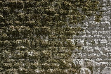 Old overgrown stone wall clipart