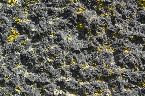 Лишайник на грубом камне — стоковое фото