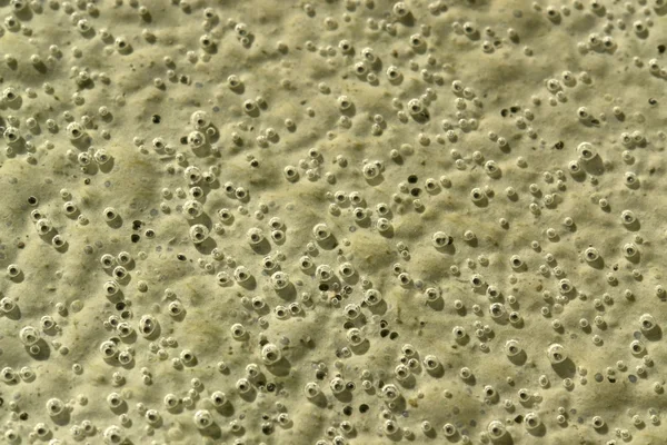 Organische bubbels op de grond — Stockfoto
