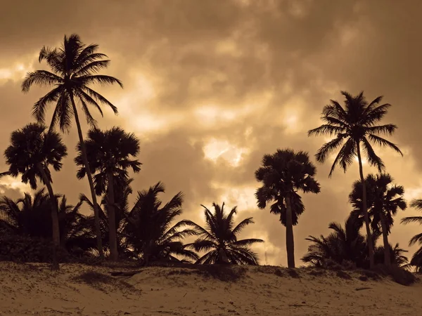 カリブ夜の風景 — ストック写真