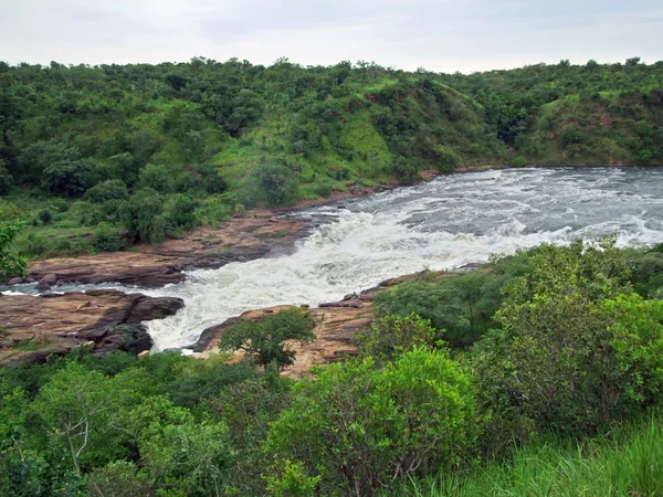 Vista aérea de Murchison Falls —  Fotos de Stock