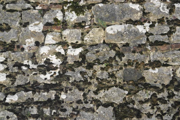 Oude overgroeide stenen muur — Stockfoto