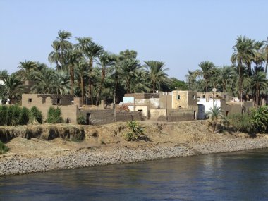 Houses at Nile coast clipart