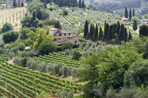 Chianti región de Toscana —  Fotos de Stock