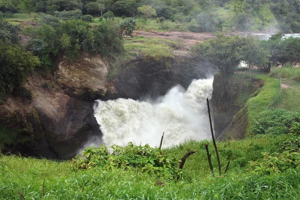 Над водопадом Мурчисон в Уганде — стоковое фото