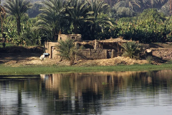 Flodlandskap mellan Aswan och Luxor — Stockfoto