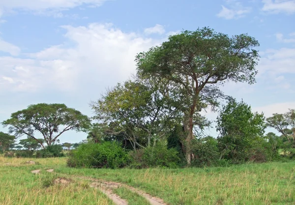 Queen elizabeth Nationaalpark in Afrika — Stockfoto