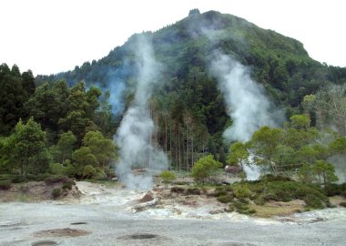 Hot spring at the Azores clipart