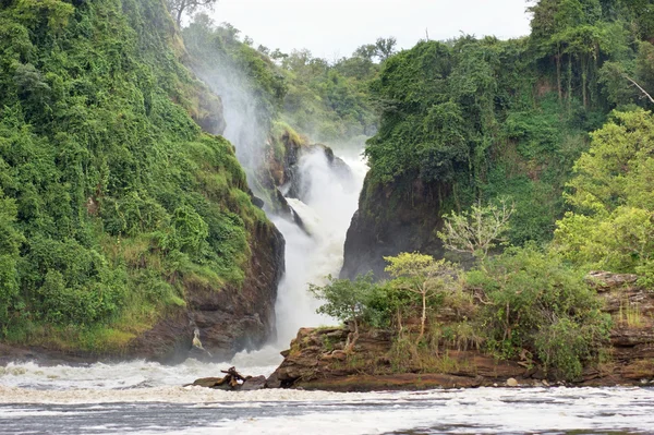 Murchison Falls — Stock fotografie