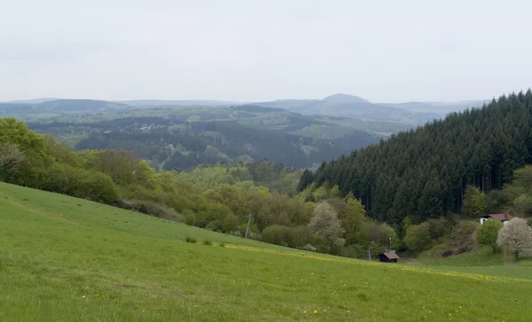 Декорації Vulkan регіоні Eifel — стокове фото