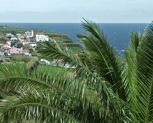 Paisagem costeira nos Açores — Fotografia de Stock