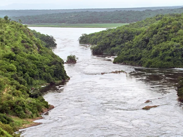 Intorno alle Murchison Falls in Uganda — Foto Stock