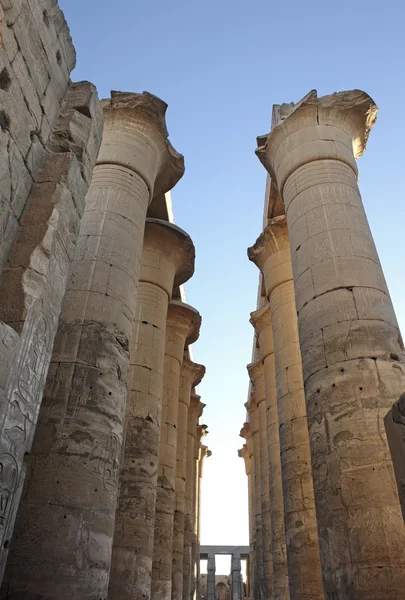 在埃及的卢克索神庙在列 — 图库照片