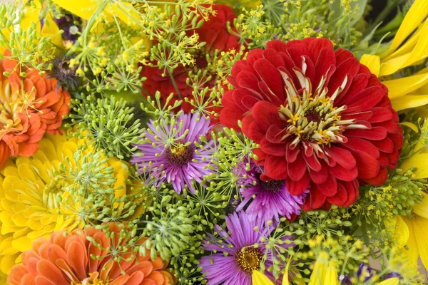 Costas florais coloridas — Fotografia de Stock