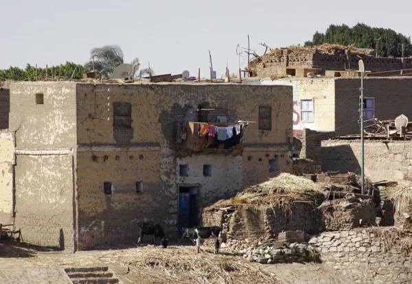 Paisagem rural no Egito — Fotografia de Stock