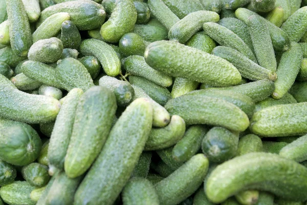 Lots of green gherkins — Stock Photo, Image