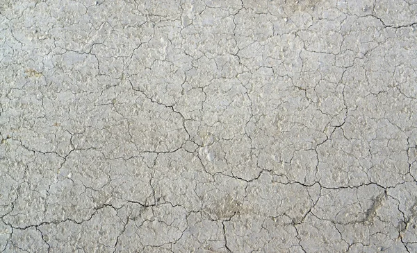Terreno argiloso — Fotografia de Stock
