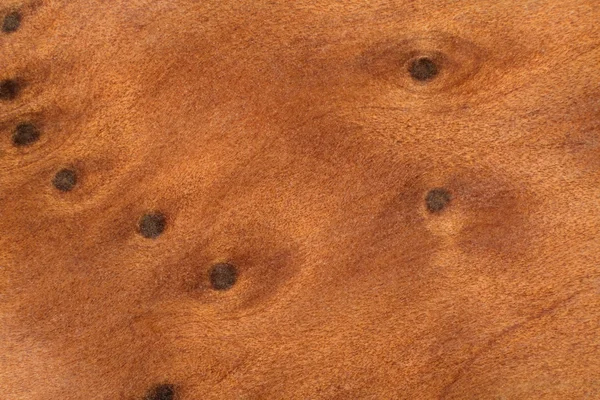 Węzełek brązowy detal drewno — Zdjęcie stockowe