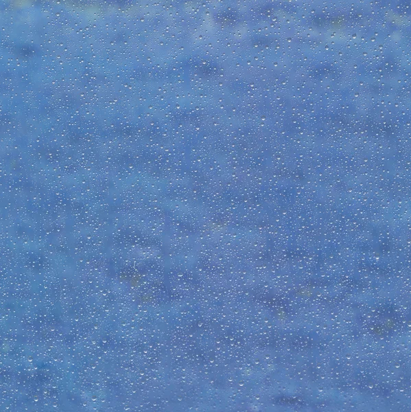Wet blue back — Stock Photo, Image