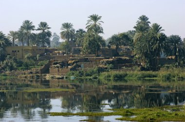 River Nile scenery between Aswan and Luxor clipart