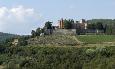 Around Castle of Brolio in Chianti clipart