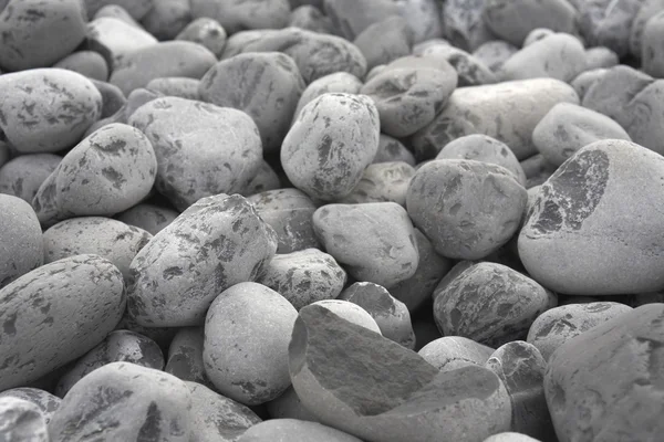 Pebbles cinza fundo — Fotografia de Stock