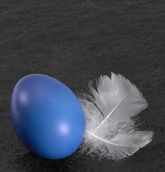 Easter egg and down feathers