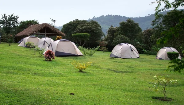 ルウェンゾリ山地でのキャンプ — ストック写真